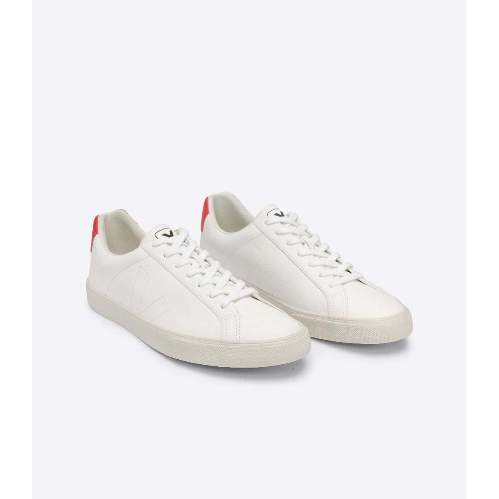 Veja ESPLAR CHROMEFREE Men's Shoes White/Orange | CA 195MQZ